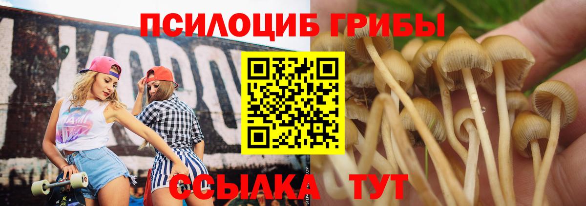 Псилоцибиновые грибы MAGIC MUSHROOMS  Вход с VPN  Асбест 